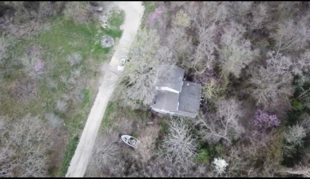 Picture 5