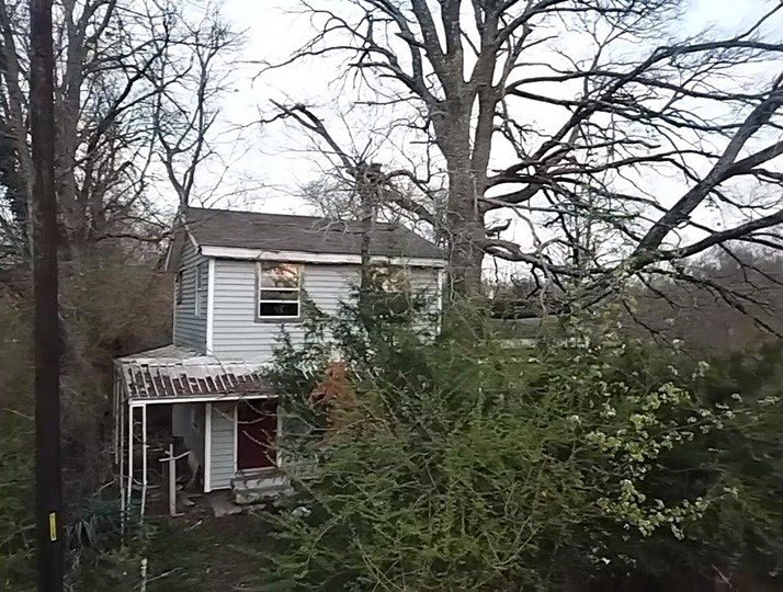 Picture 8