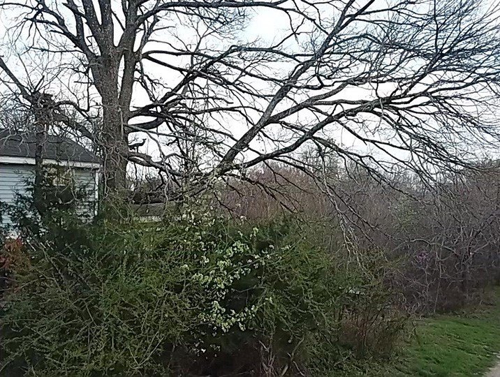 Picture 9