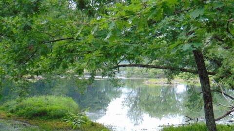 Waterfront Land Near Downtown Lincoln