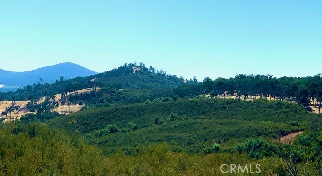 Lower Lake Acreage with Views
