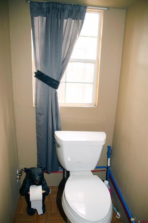Picture 12