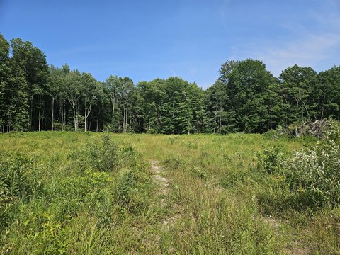 LAND - Fennville, MI