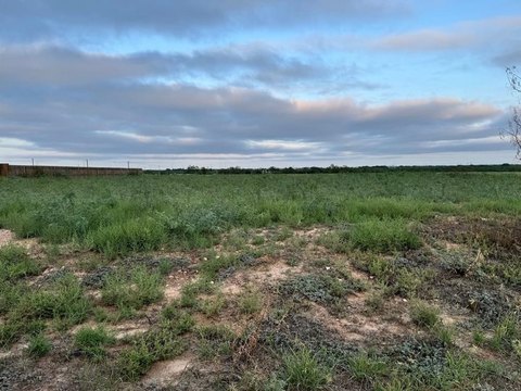 San Angelo Land For Sale