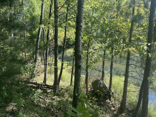 Picture 13