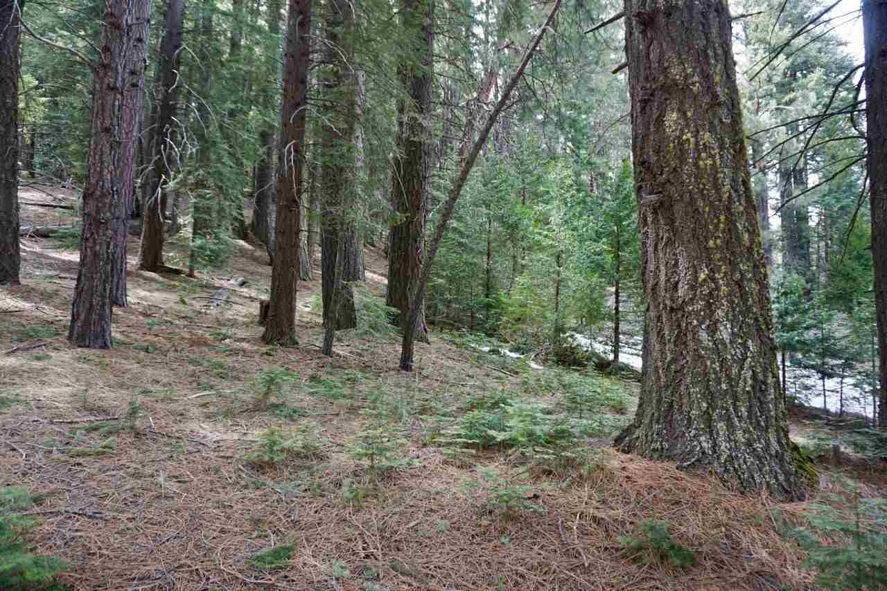 Whimsical Forest Lot in Blairsden