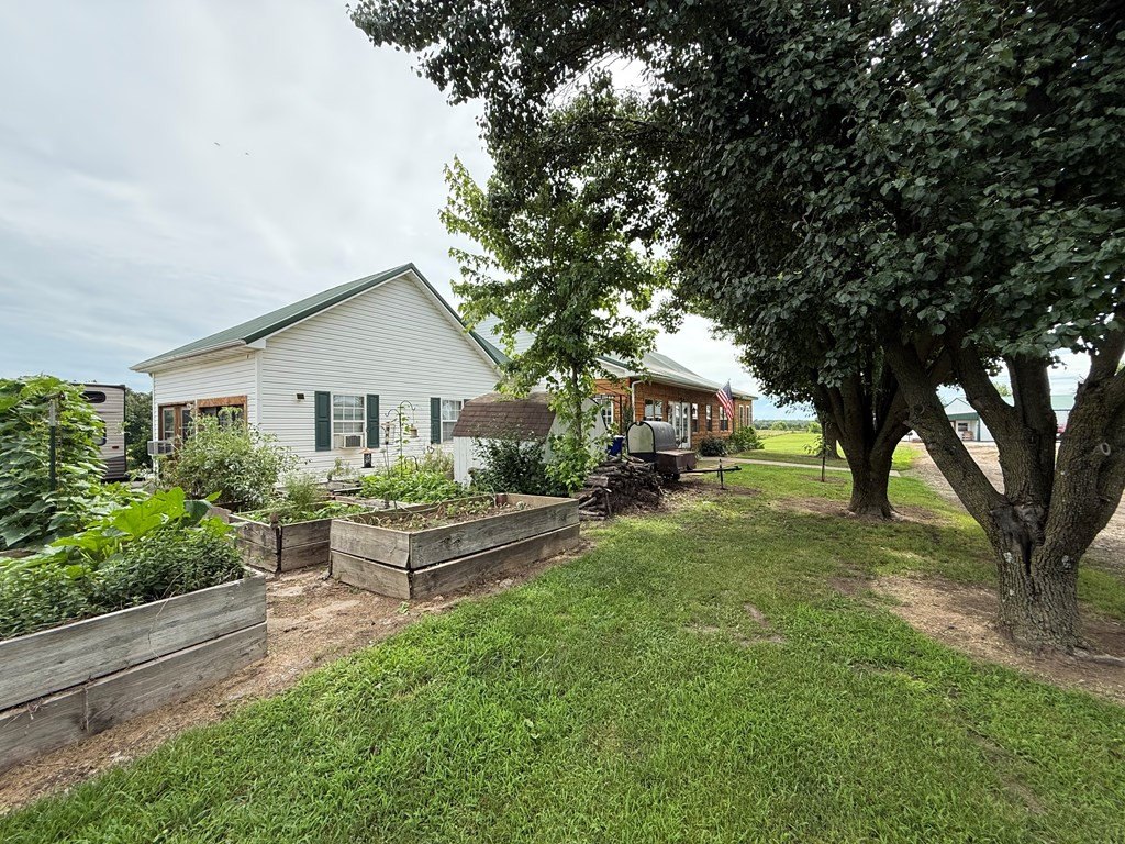 Picture 23