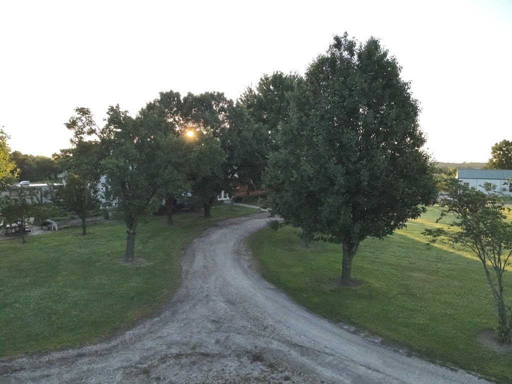 Picture 15