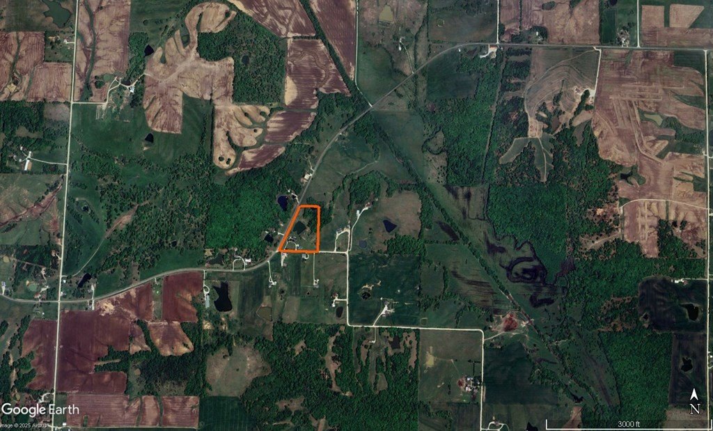 Picture 3