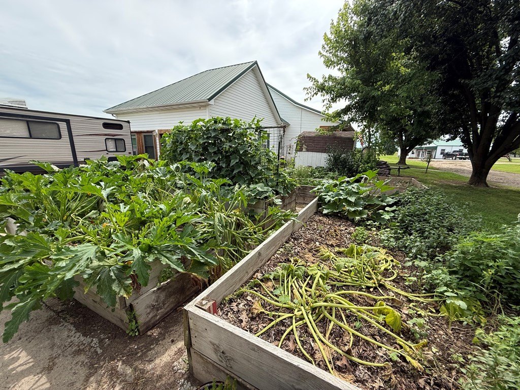 Picture 25
