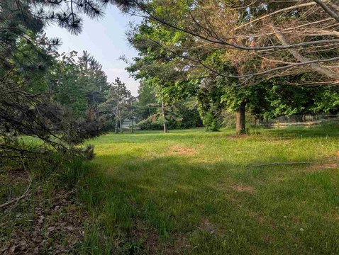 Gently Sloped Commercial-Ready Lot