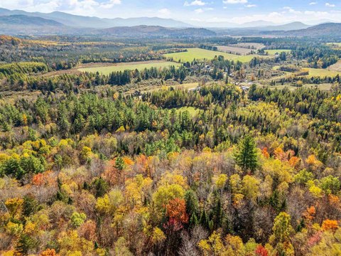 Recreational Hunting Land