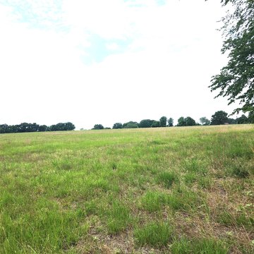 20+ Acre Land Parcel