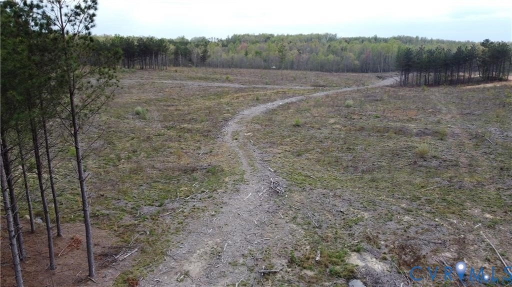 Picture 3