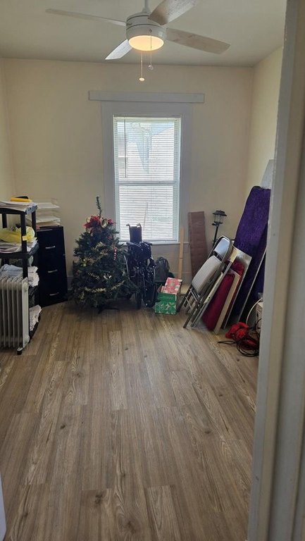 Picture 29