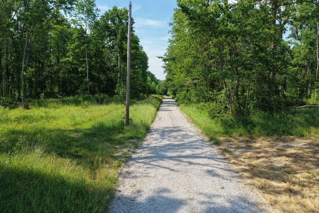 Picture 25