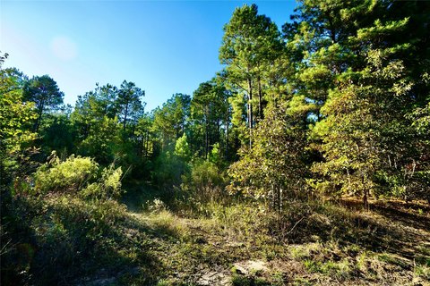 Timber and Hunting Land with Elevation