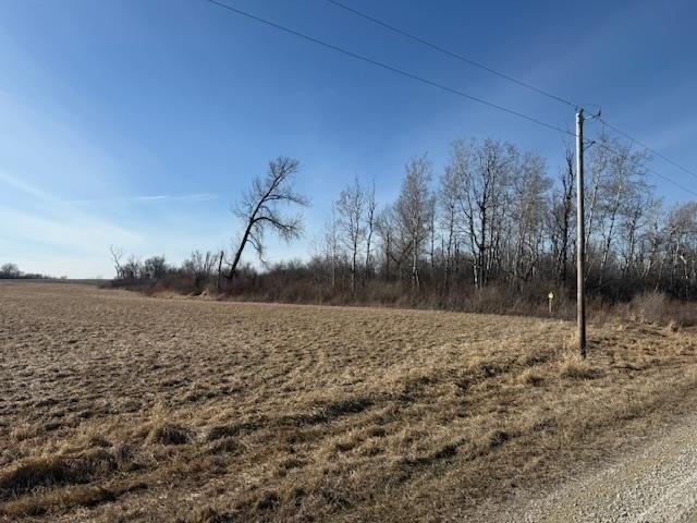 Picture 6