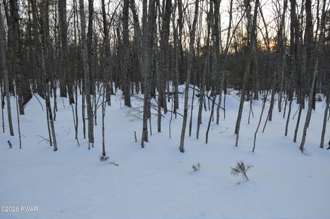 Lakeville, PA Homesite Opportunity