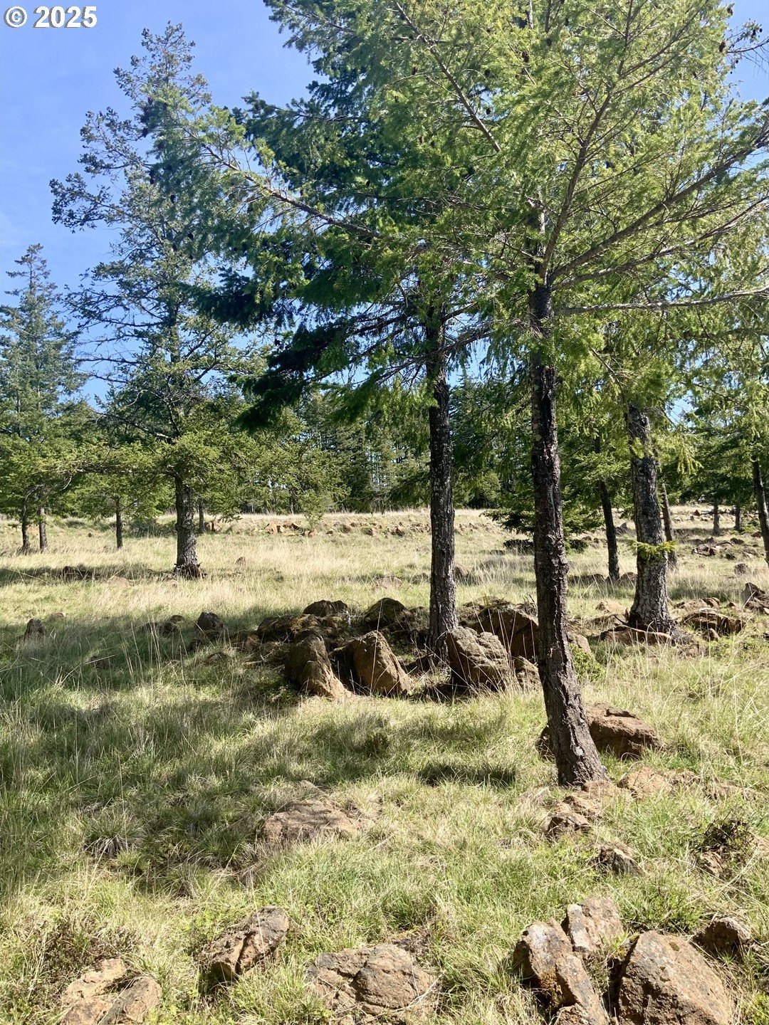 Gold Beach Land with Views