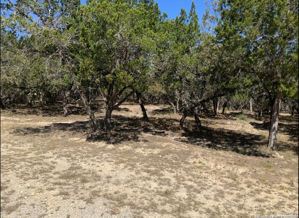 Picture 9