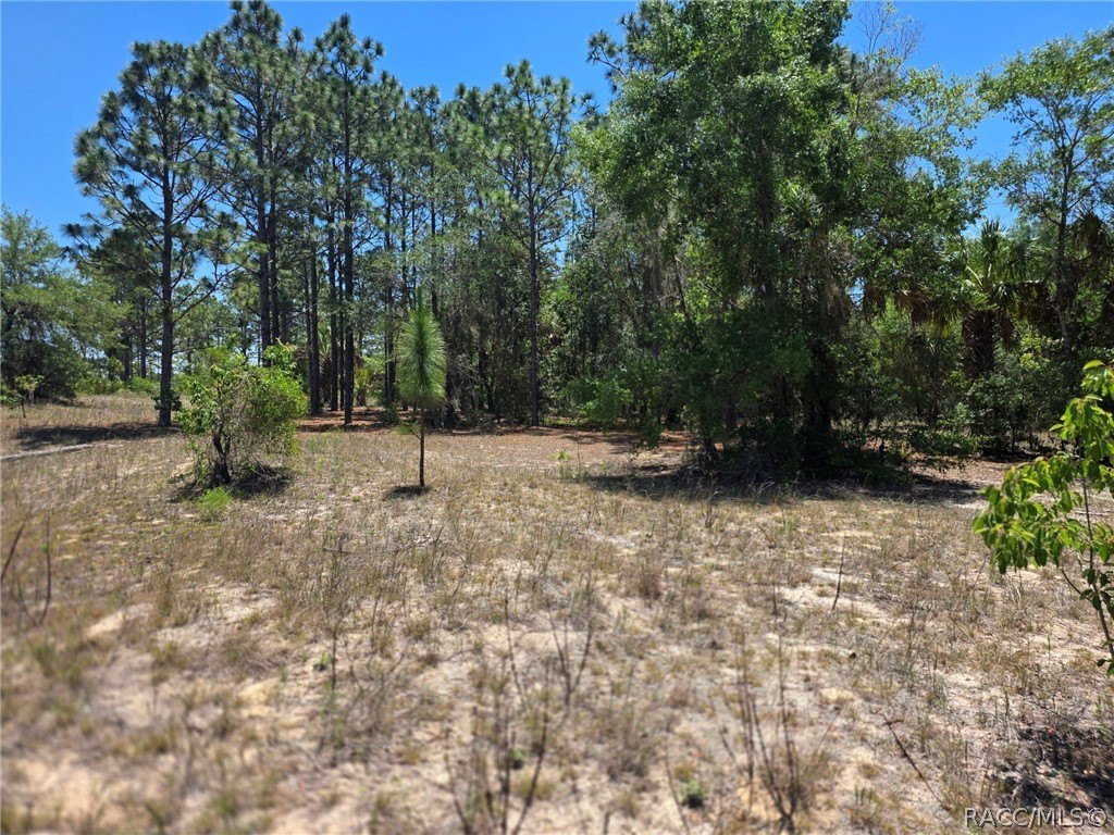 One Acre Homesite Near Lake