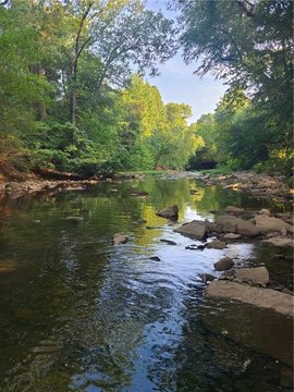 Picturesque 80 Acres Near Downtown