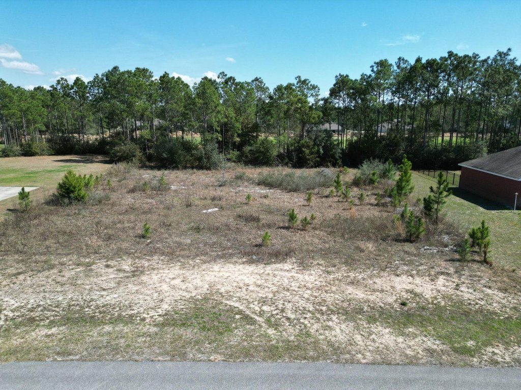 Picture 3