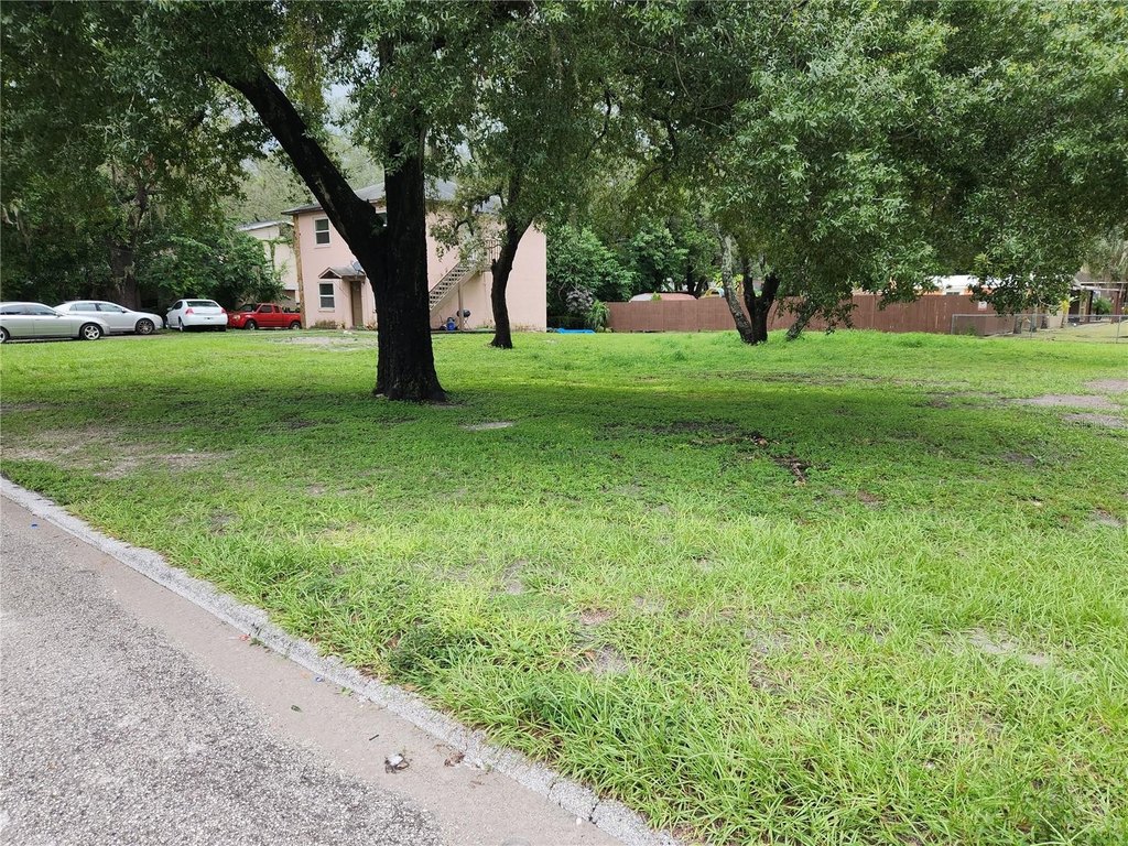 Picture 2