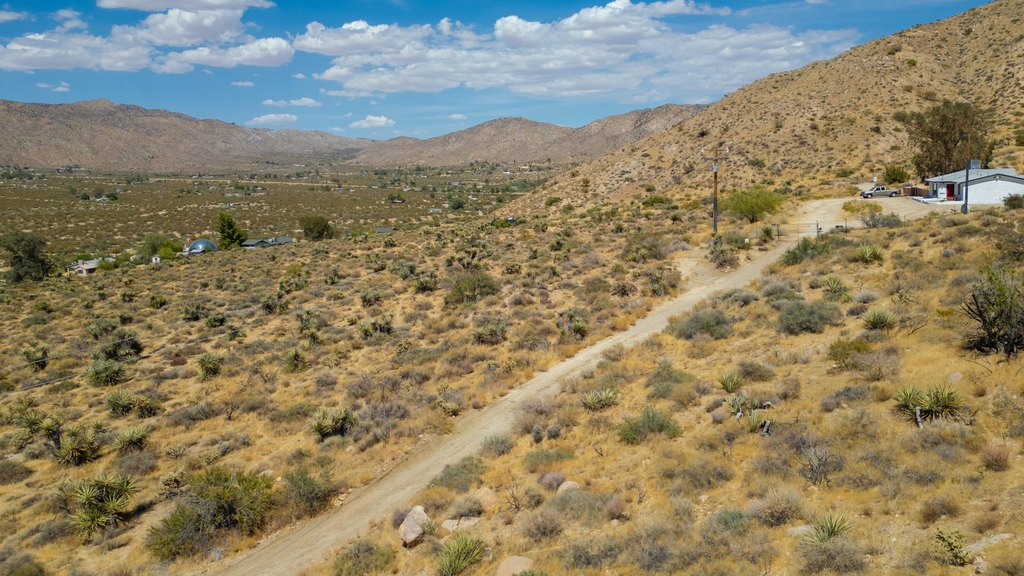Picture 19