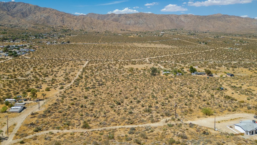 Picture 15