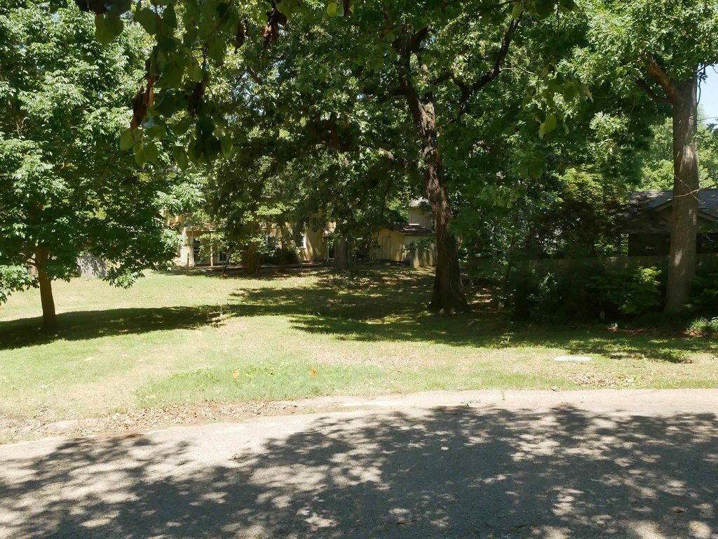 Picture 15