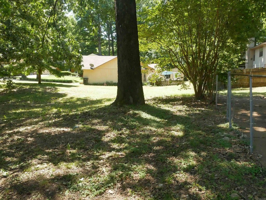 Picture 11