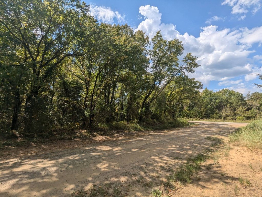 Picture 22