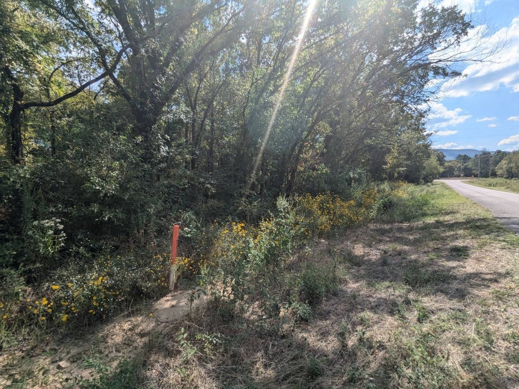 Picture 25