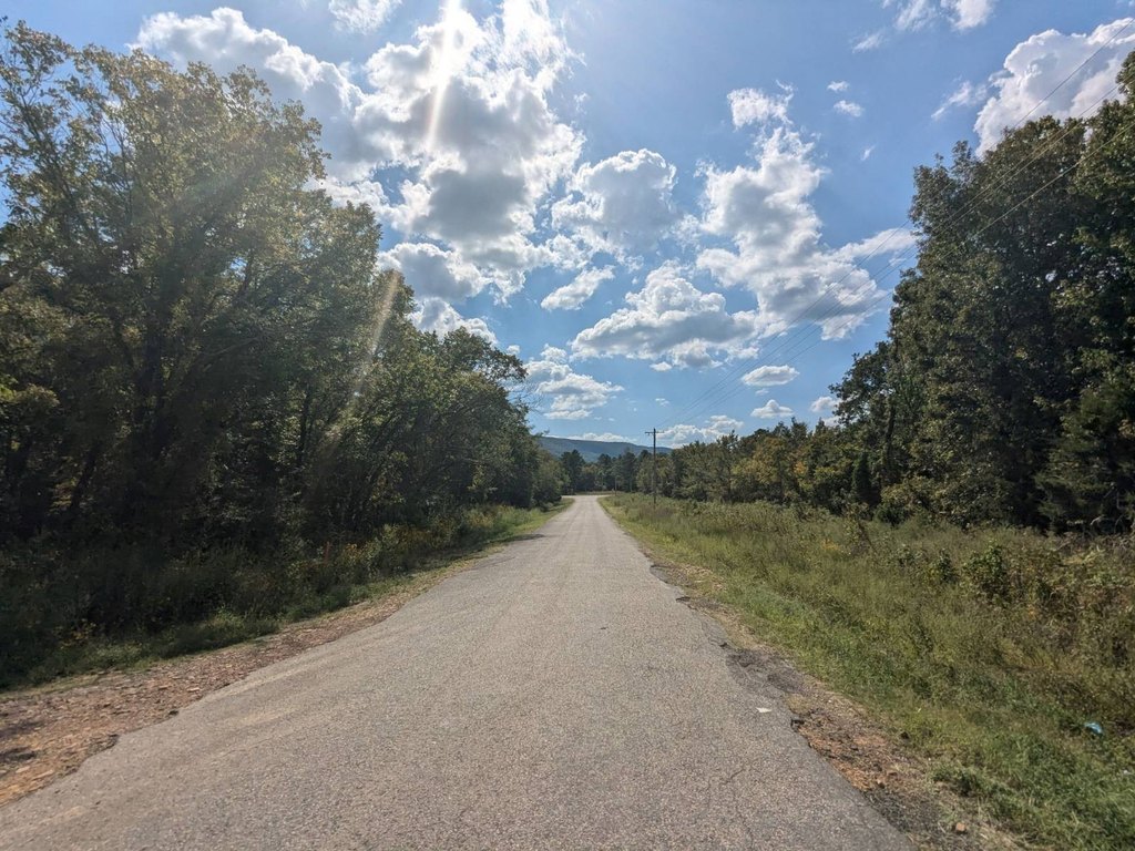 Picture 23