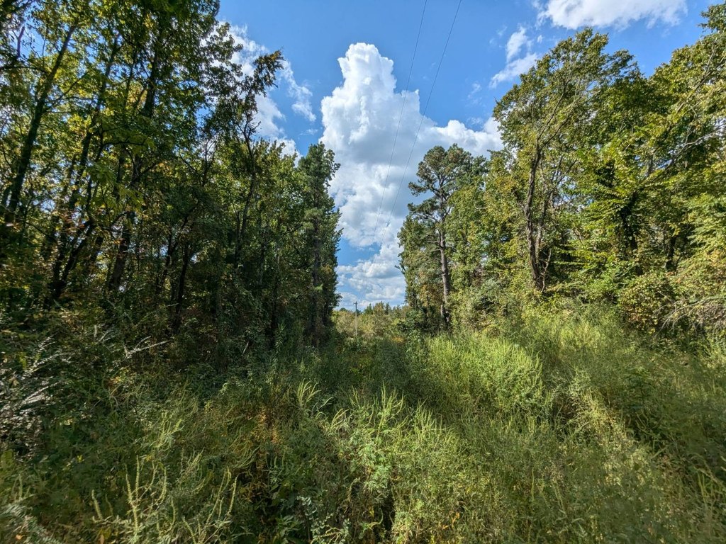 Picture 18