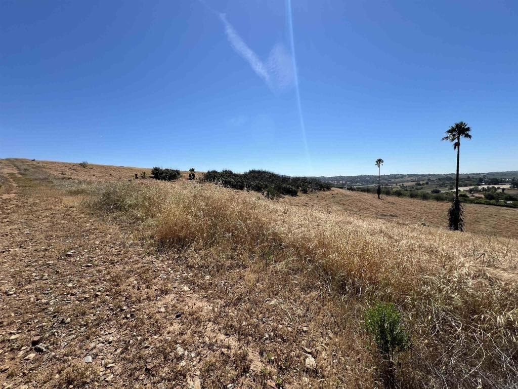 Picture 15
