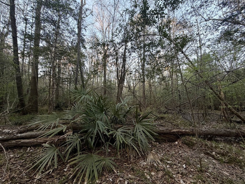 Picture 24