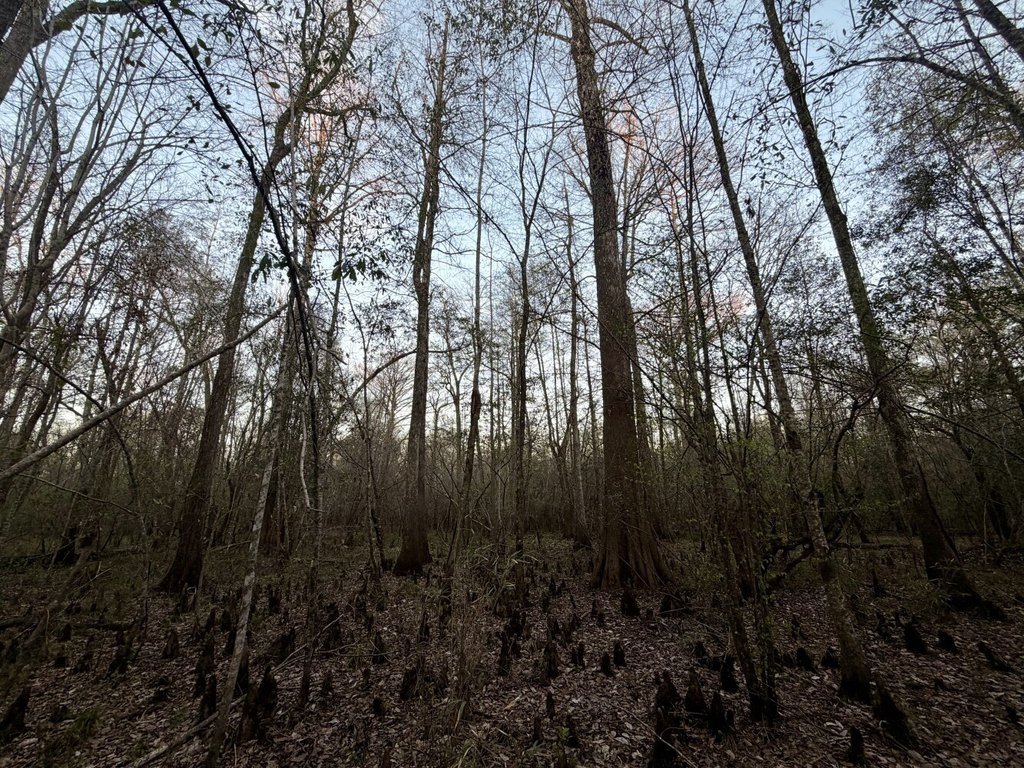 Picture 25
