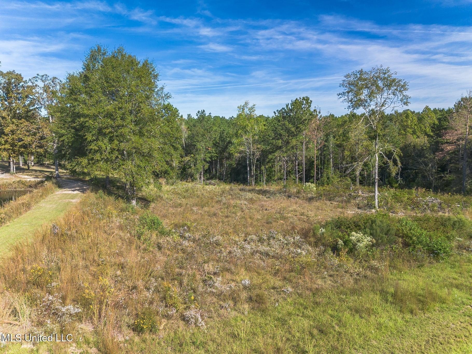 Residential Land in Oak Haven