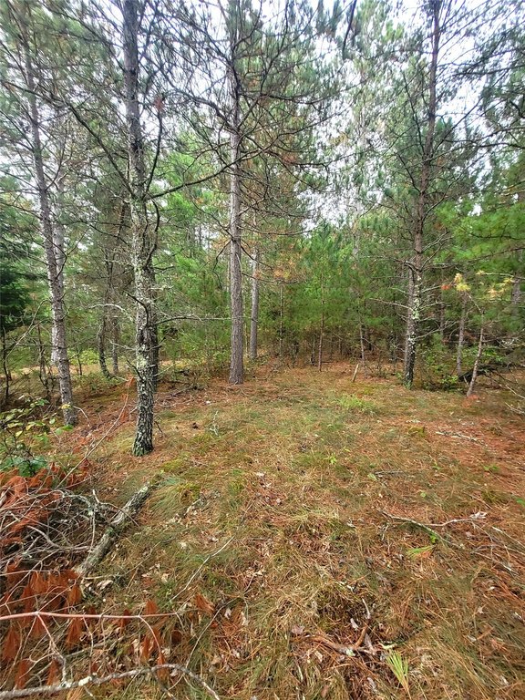 Picture 25