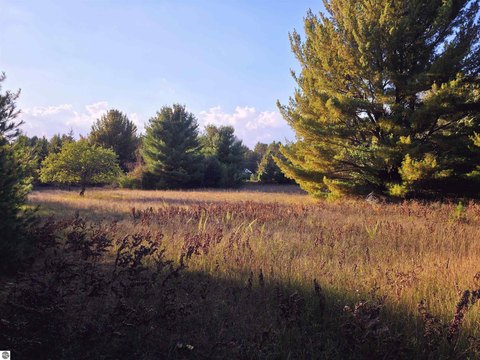 Vacant Lot/Land, Interlochen, MI