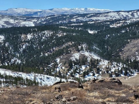 Land, Bellvue, CO