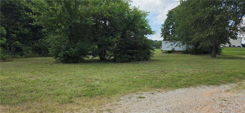 Picture 7