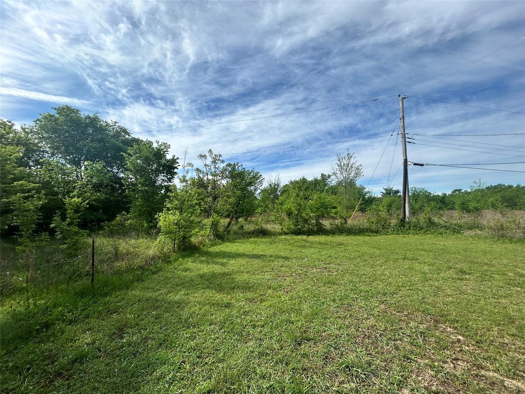 Picture 11