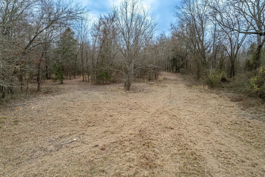 Picture 23