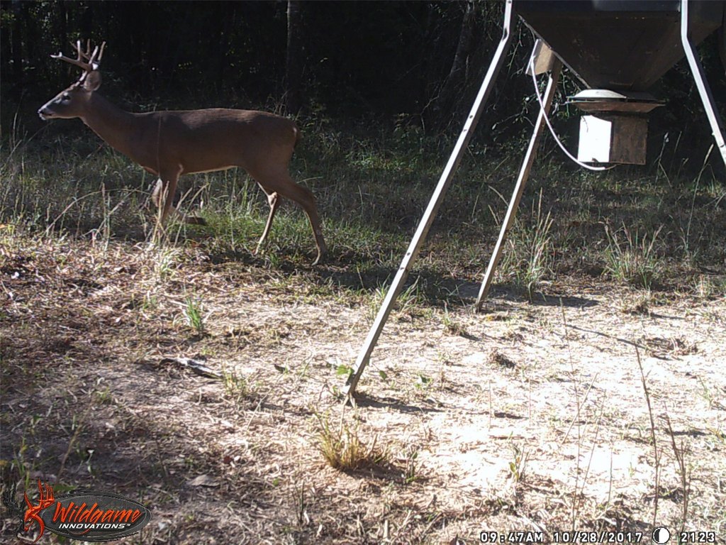 Picture 39