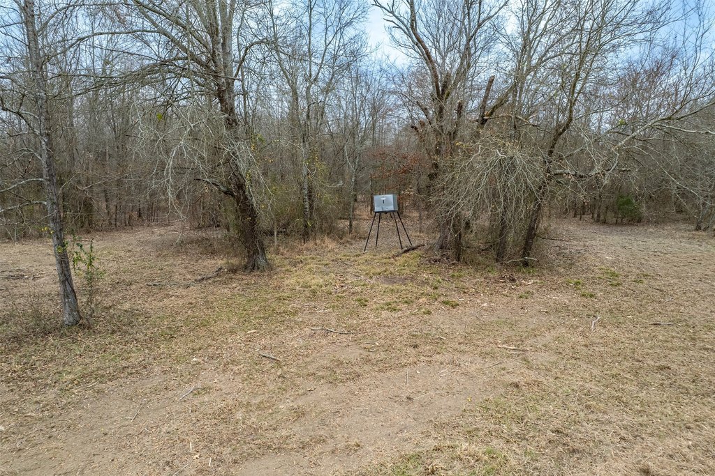 Picture 22