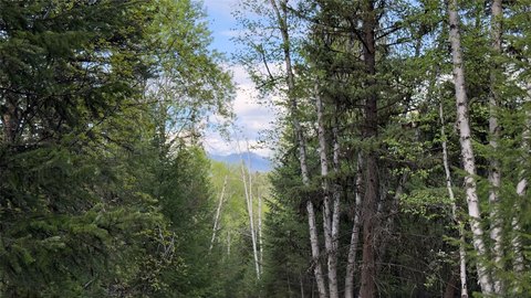 Wooded Waterfront Land with Lake Access